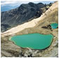Tongariro have filled with water, giving a brightly coloured contrast to the surrounding landscape